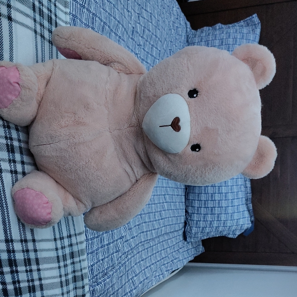 Charming Pink Plush Bear for Kids